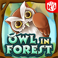 The Owl